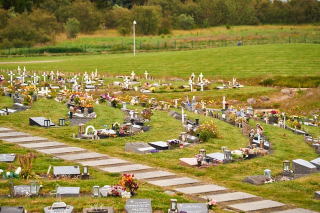 Jarðvegsskipti púlt/duft steinn